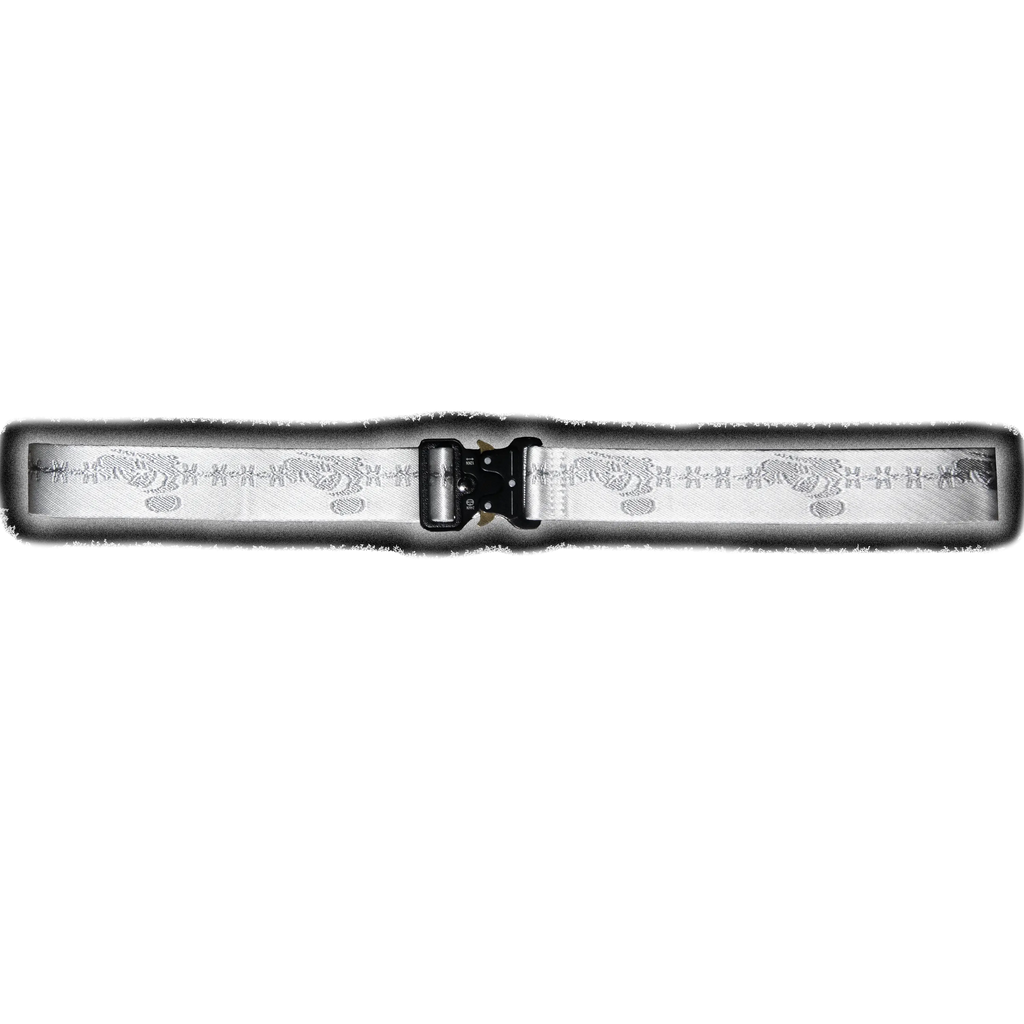 SL33PY RUFFIAN BELT WOVEN LOGO TACTICAL BUCKLE STREETWEAR CLOTHING BRAND